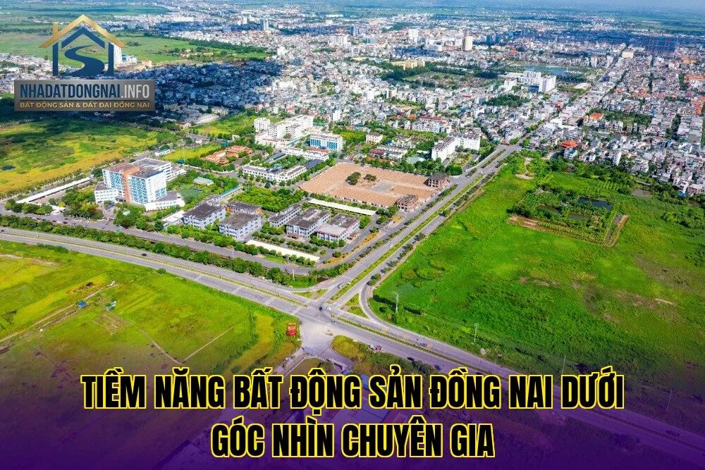 Tiềm năng bất động sản Đồng Nai dưới góc nhìn chuyên gia
