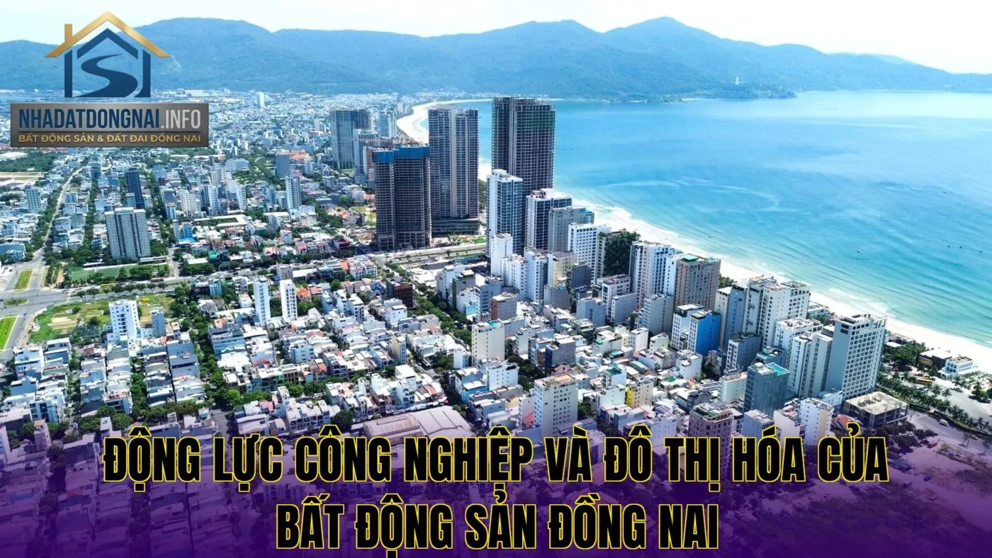 Động lực công nghiệp và đô thị hóa của bất động sản Đồng Nai