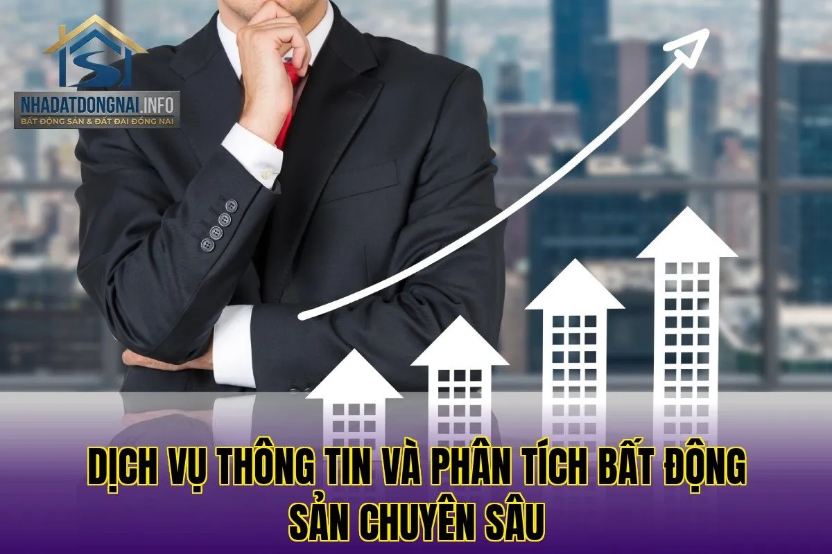 Dịch vụ thông tin và phân tích bất động sản chuyên sâu